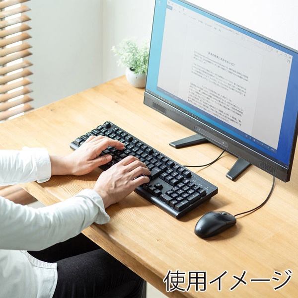 サンワサプライ 日本語109キーボード USB-Aコネクタ ブラック SKB-109UBK 1個（ご注文単位1個）【直送品】