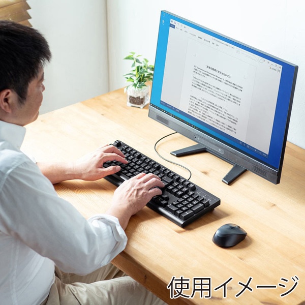 サンワサプライ PS/2キーボード 英語配列 PS/2コネクタ ブラック SKB-E5PBK 1個(ご注文単位1個)【直送品】