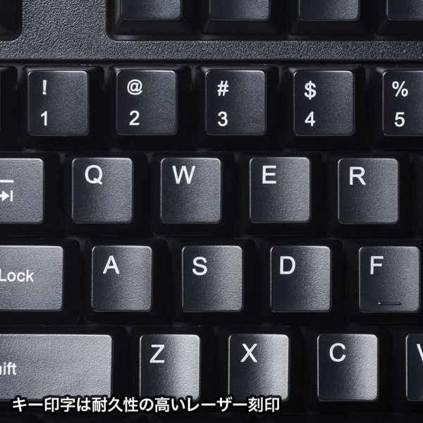 サンワサプライ PS/2キーボード 英語配列 PS/2コネクタ ブラック SKB-E5PBK 1個(ご注文単位1個)【直送品】