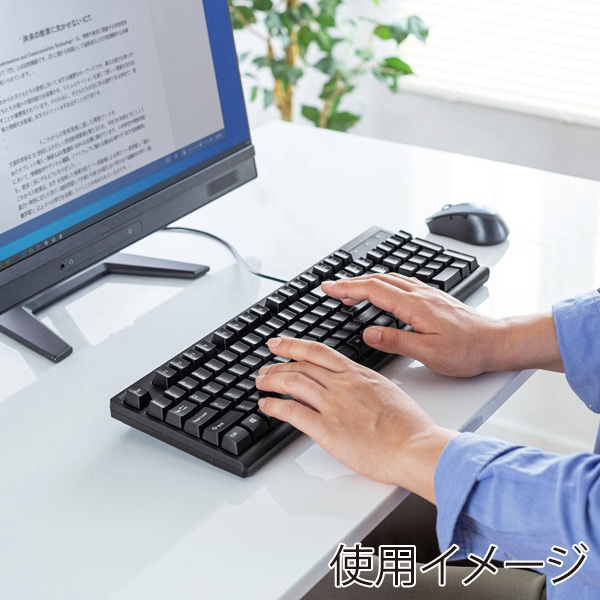 サンワサプライ PS/2キーボード 英語配列 PS/2コネクタ ブラック SKB-E5PBK 1個(ご注文単位1個)【直送品】