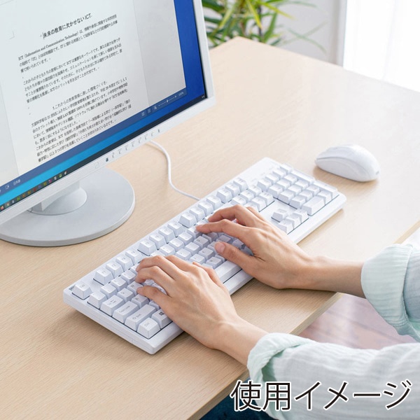 サンワサプライ USBキーボード 英語配列 ホワイト SKB-E5UW 1個（ご注文単位1個）【直送品】