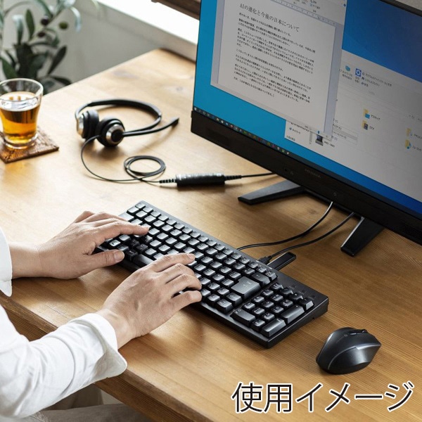 サンワサプライ コンパクトキーボード USBハブ付 ブラック SKB-KG2UH2BK 1個(ご注文単位1個)【直送品】