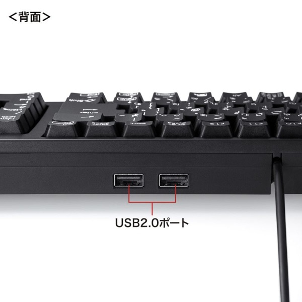 サンワサプライ コンパクトキーボード USBハブ付 ブラック SKB-KG2UH2BK 1個(ご注文単位1個)【直送品】