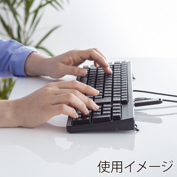 サンワサプライ コンパクトキーボード USBハブ付 ブラック SKB-KG2UH3BK 1個（ご注文単位1個）【直送品】