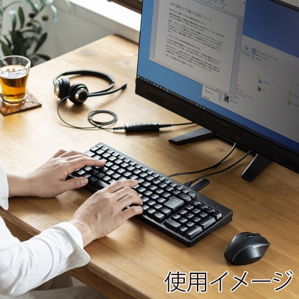 サンワサプライ コンパクトキーボード USBハブ付 ブラック SKB-KG2UH3BK 1個（ご注文単位1個）【直送品】