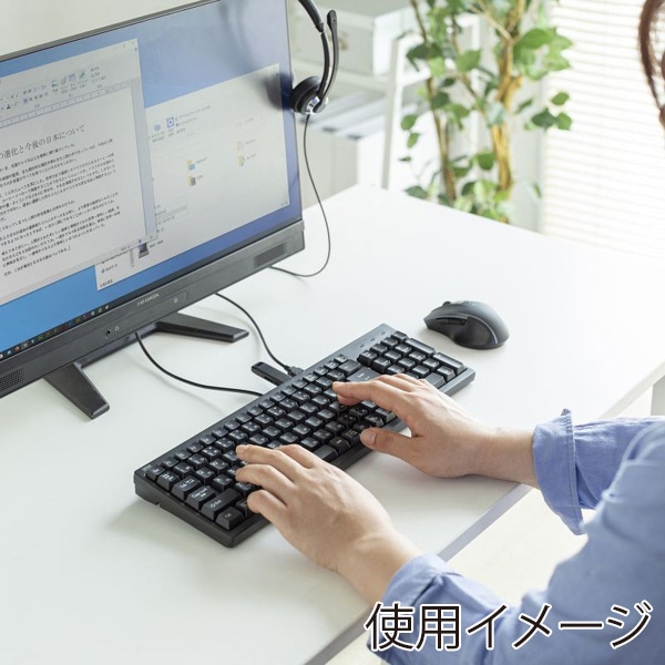 サンワサプライ コンパクトキーボード USBハブ付 ブラック SKB-KG2UH3BK 1個（ご注文単位1個）【直送品】