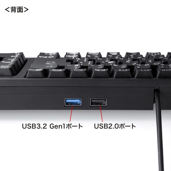 サンワサプライ コンパクトキーボード USBハブ付 ブラック SKB-KG2UH3BK 1個（ご注文単位1個）【直送品】