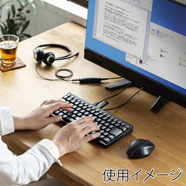 サンワサプライ コンパクトキーボード USBハブ付 ブラック SKB-KG3UH2BK 1個(ご注文単位1個)【直送品】