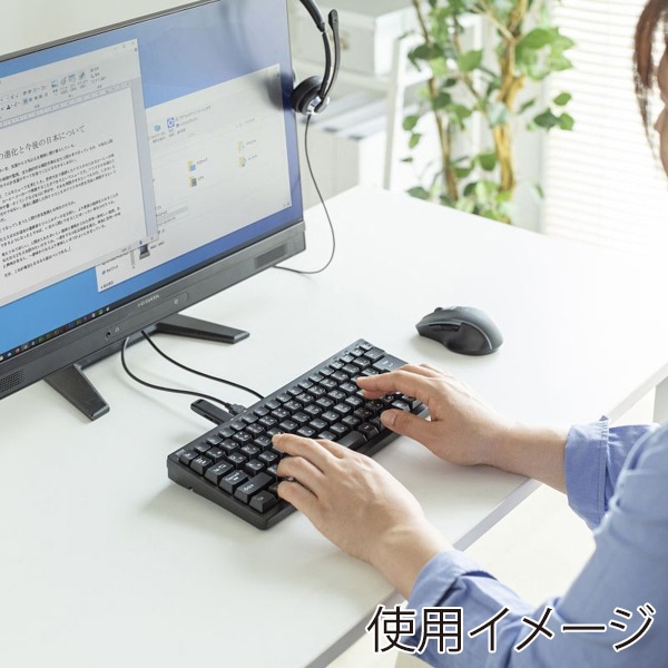 サンワサプライ コンパクトキーボード USBハブ付 ブラック SKB-KG3UH2BK 1個(ご注文単位1個)【直送品】