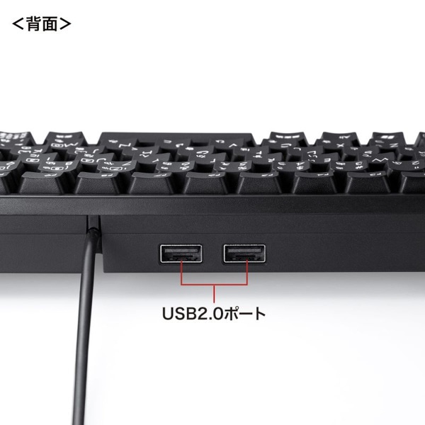 サンワサプライ コンパクトキーボード USBハブ付 ブラック SKB-KG3UH2BK 1個(ご注文単位1個)【直送品】