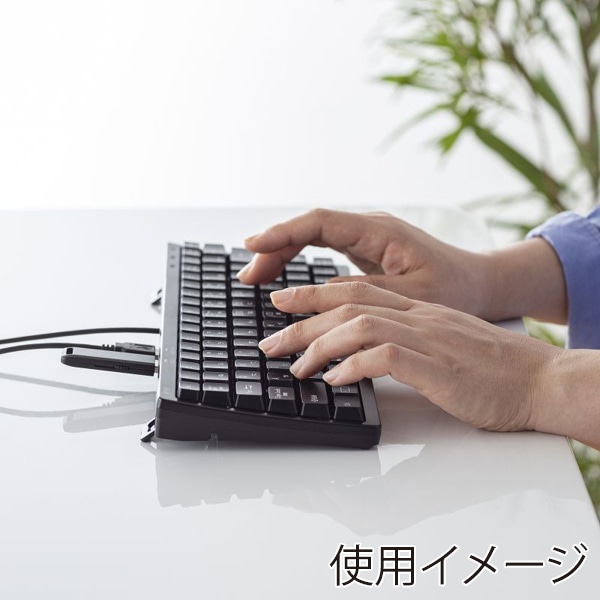 サンワサプライ コンパクトキーボード USBハブ付 ブラック SKB-KG3UH3BK 1個（ご注文単位1個）【直送品】
