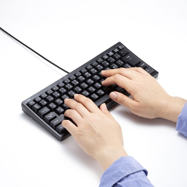 サンワサプライ コンパクトキーボード USBハブ付 ブラック SKB-KG3UH3BK 1個（ご注文単位1個）【直送品】