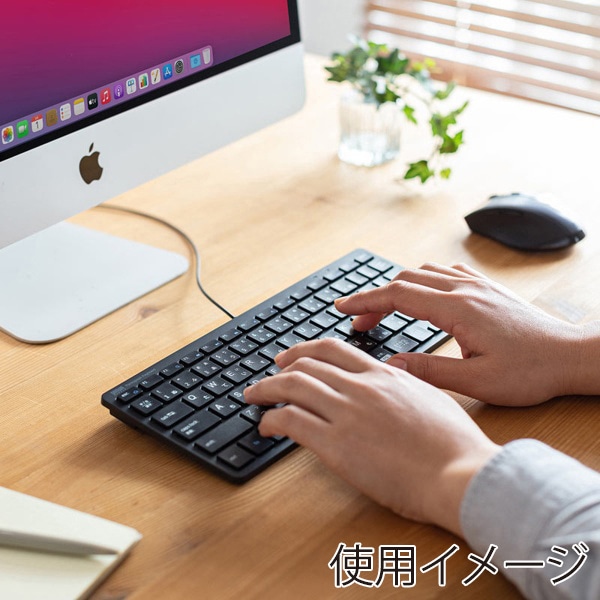 サンワサプライ USBスリムキーボード 抗菌 テンキーなし ブラック SKB-SL36BK 1個（ご注文単位1個）【直送品】