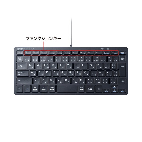 サンワサプライ USBスリムキーボード 抗菌 テンキーなし ブラック SKB-SL36BK 1個（ご注文単位1個）【直送品】