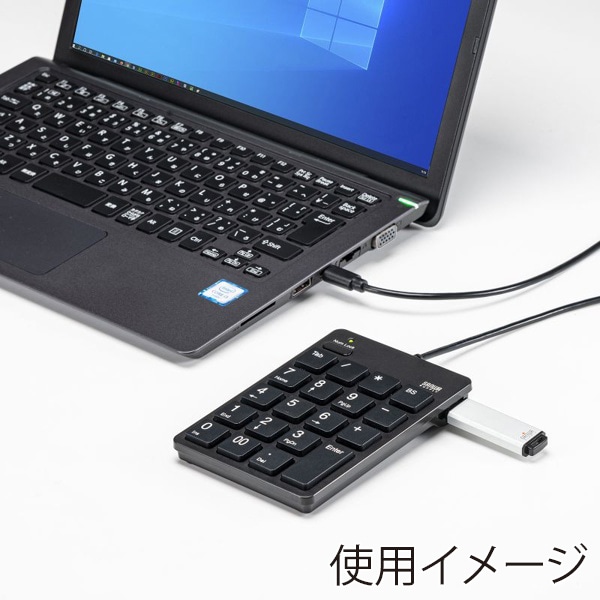 サンワサプライ USBテンキー Type-Cコネクタ ブラック NT-18CUHBK 1個（ご注文単位1個）【直送品】