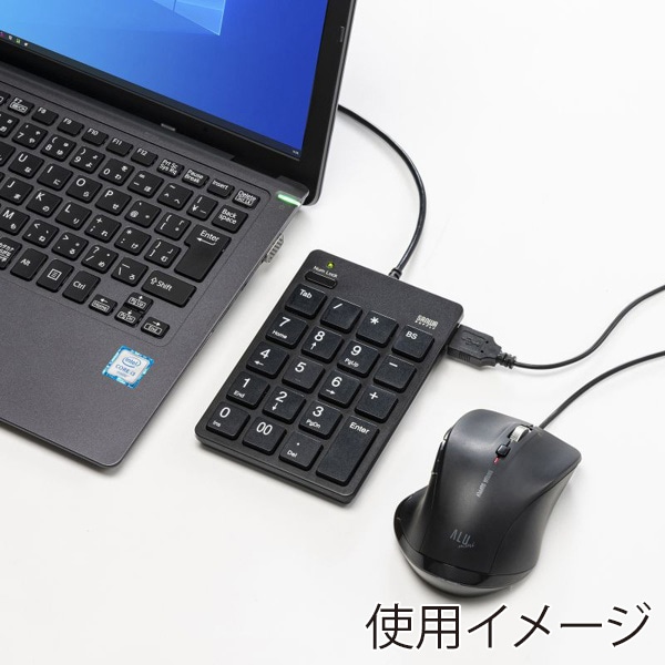 サンワサプライ USBテンキー Type-Cコネクタ ブラック NT-18CUHBK 1個（ご注文単位1個）【直送品】