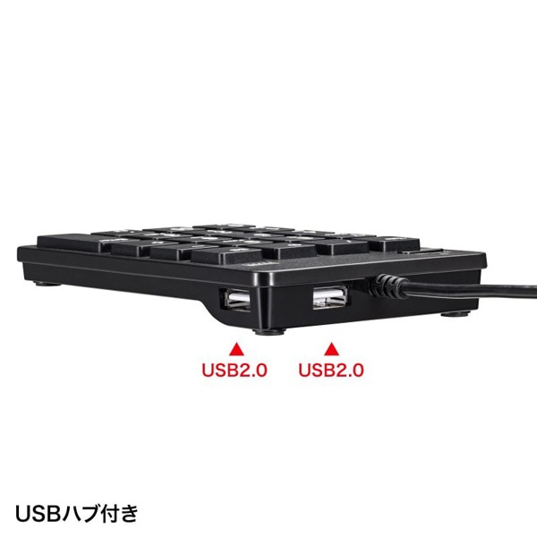 サンワサプライ USBテンキー Type-Cコネクタ ブラック NT-18CUHBK 1個（ご注文単位1個）【直送品】