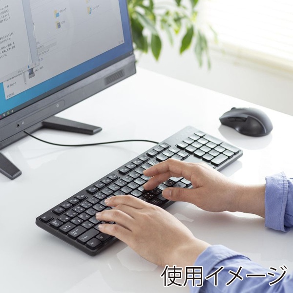 サンワサプライ 静音キーボード 有線 テンキーあり ブラック SKB-SL37BK 1個（ご注文単位1個）【直送品】