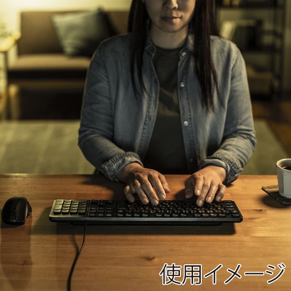 サンワサプライ 静音キーボード 有線 テンキーあり ブラック SKB-SL37BK 1個（ご注文単位1個）【直送品】