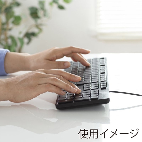 サンワサプライ 静音キーボード 有線 テンキーあり ブラック SKB-SL37BK 1個（ご注文単位1個）【直送品】