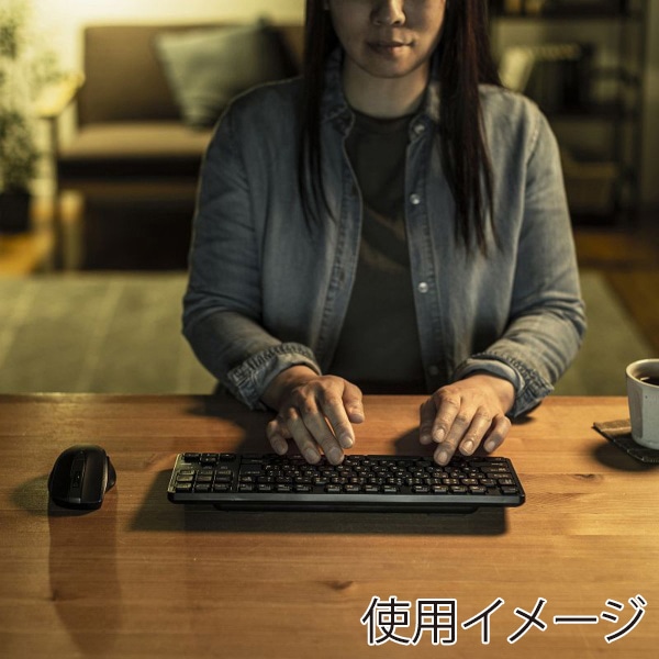 サンワサプライ ワイヤレス静音キーボード テンキーなし ブラック SKB-WL38BK 1個（ご注文単位1個）【直送品】