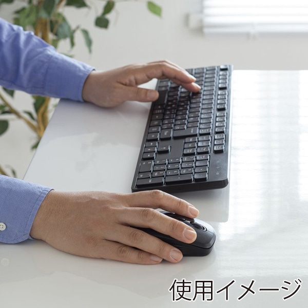 サンワサプライ ワイヤレス静音キーボード・マウスセット テンキーあり ブラック SKB-WL37SETBK 1個（ご注文単位1個）【直送品】