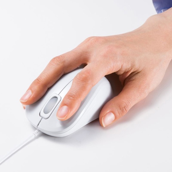 サンワサプライ 抗菌・静音 有線 ブルーLEDマウス ホワイト MA-YBSK315W 1個（ご注文単位1個）【直送品】