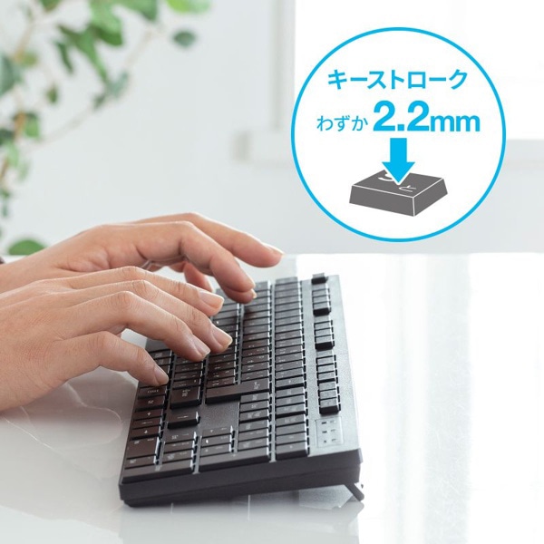 サンワサプライ ワイヤレスキーボード テンキーあり ブラック SKB-WL39BK 1個（ご注文単位1個）【直送品】