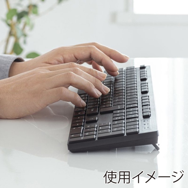 サンワサプライ ワイヤレスキーボード テンキーあり ブラック SKB-WL39BK 1個（ご注文単位1個）【直送品】