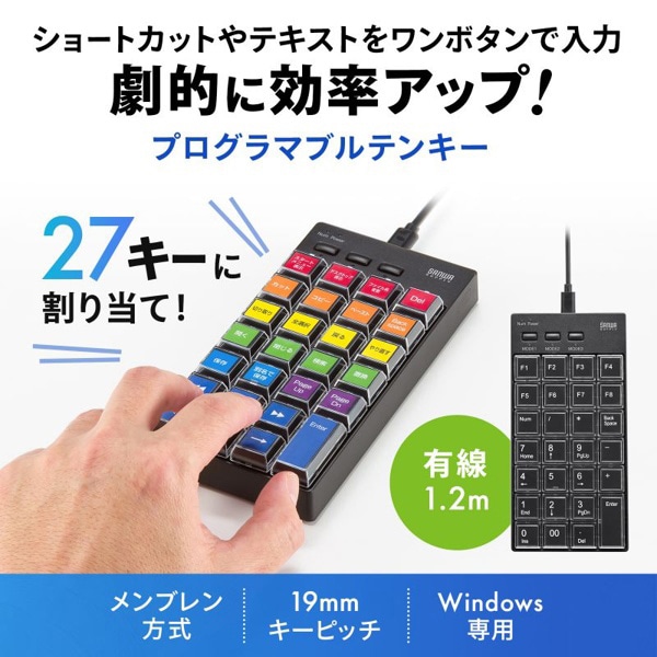 サンワサプライ プログラマブルテンキー 有線モデル ブラック NT-26UBK 1個（ご注文単位1個）【直送品】