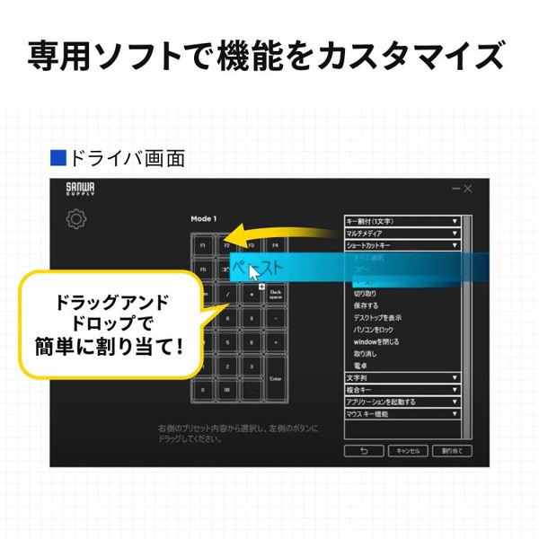 サンワサプライ プログラマブルテンキー 有線モデル ブラック NT-26UBK 1個（ご注文単位1個）【直送品】