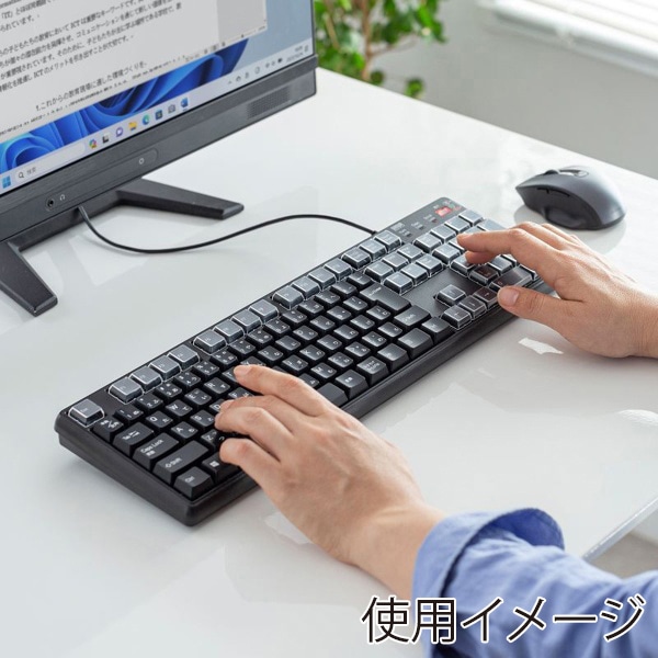 サンワサプライ プログラマブルキーボード ブラック SKB-P1BK 1個(ご注文単位1個)【直送品】