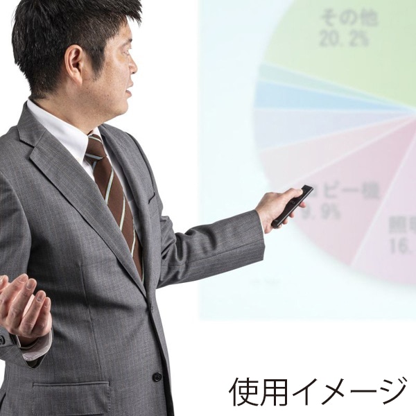 サンワサプライ パワーポインター USB充電式 LP-RF116BK 1個(ご注文単位1個)【直送品】