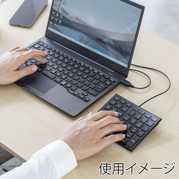 サンワサプライ 表計算USBテンキー ブラック NT-27UBK 1個(ご注文単位1個)【直送品】