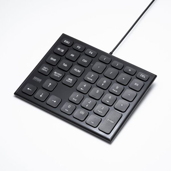 サンワサプライ 表計算USBテンキー ブラック NT-27UBK 1個(ご注文単位1個)【直送品】