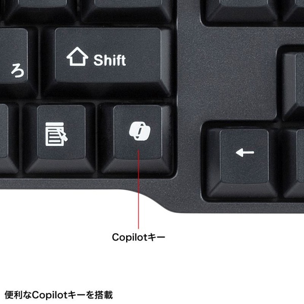 サンワサプライ ワイヤレス静音キーボード・マウスセット テンキーあり ブラック SKB-WL40ASETBK 1個（ご注文単位1個）【直送品】