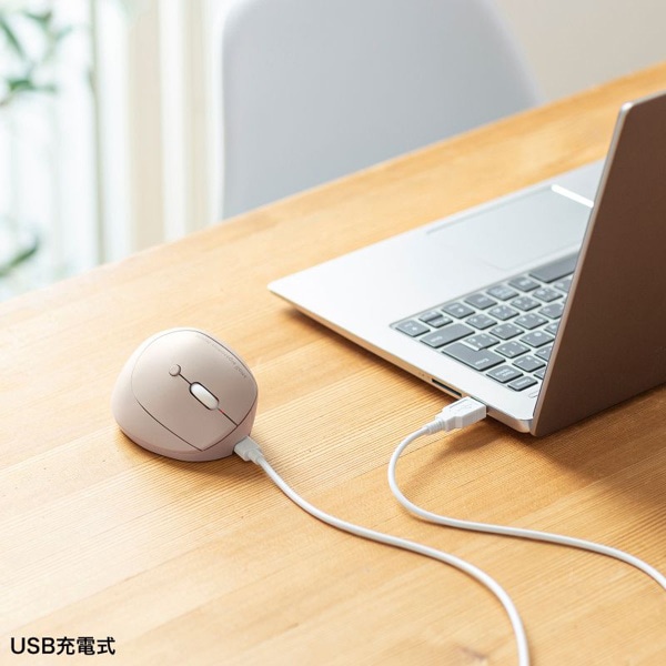 サンワサプライ 静音 ワイヤレス小型エルゴノミクスマウス ベージュ MA-EWBS522BG 1個（ご注文単位1個）【直送品】