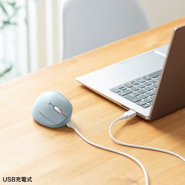 サンワサプライ 静音 ワイヤレス小型エルゴノミクスマウス ブルー MA-EWBS522BL 1個（ご注文単位1個）【直送品】