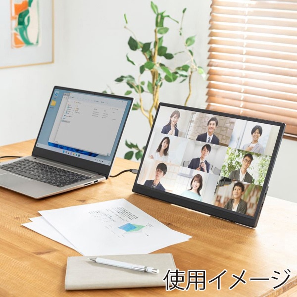 サンワサプライ モバイルモニター DP-07 1個（ご注文単位1個）【直送品】