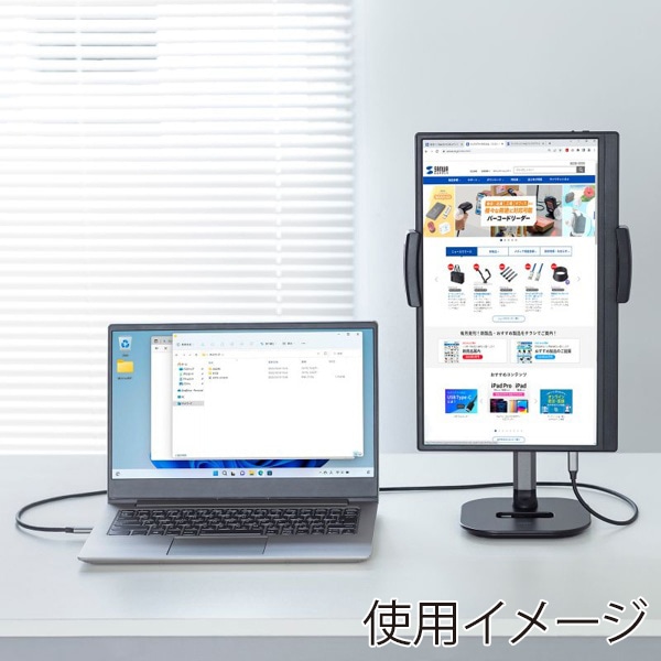 サンワサプライ モバイルモニター DP-07 1個（ご注文単位1個）【直送品】