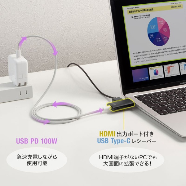 サンワサプライ ワイヤレス プレゼンター 変換アダプタ付き ガンメタ MA-WPR16GM 1個（ご注文単位1個）【直送品】
