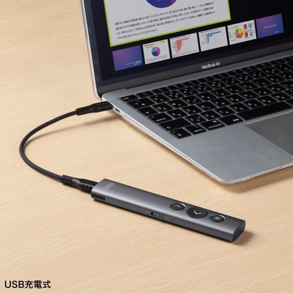 サンワサプライ ワイヤレス プレゼンター 変換アダプタ付き ガンメタ MA-WPR16GM 1個（ご注文単位1個）【直送品】