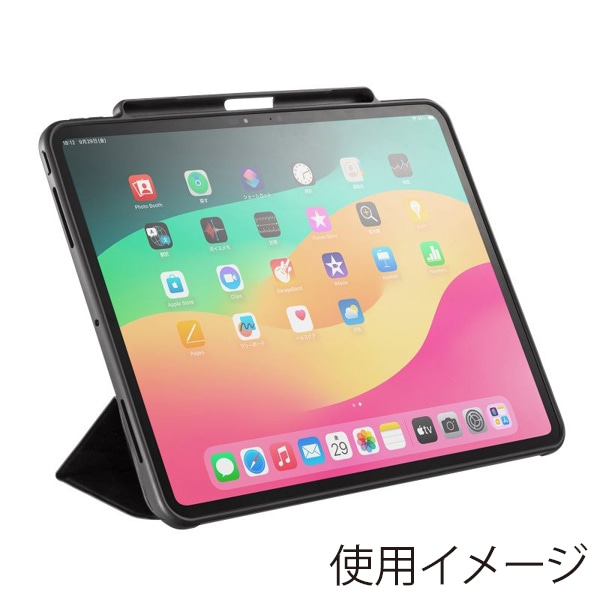 サンワサプライ iPad Pro 13インチ用ソフトケース タッチペン収納ポケット付き ブラック PDA-IPAD2014BK 1個（ご注文単位1個）【直送品】