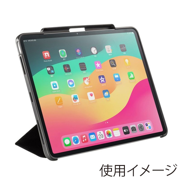 サンワサプライ iPad Air 13インチ用ソフトケース タッチペン収納ポケット付き ブラック PDA-IPAD2114BK 1個（ご注文単位1個）【直送品】