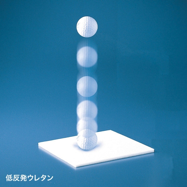 サンワサプライ 衝撃吸収PCケース 15.6型ワイド BAG-P20BK2 1個(ご注文単位1個)【直送品】