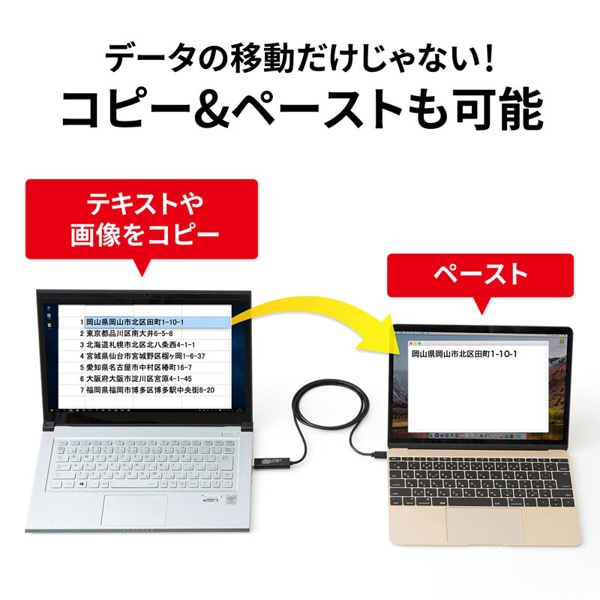 サンワサプライ リンクケーブル ドラッグ&ドロップ対応 Type-C KB-USB-LINK5 1個（ご注文単位1個）【直送品】