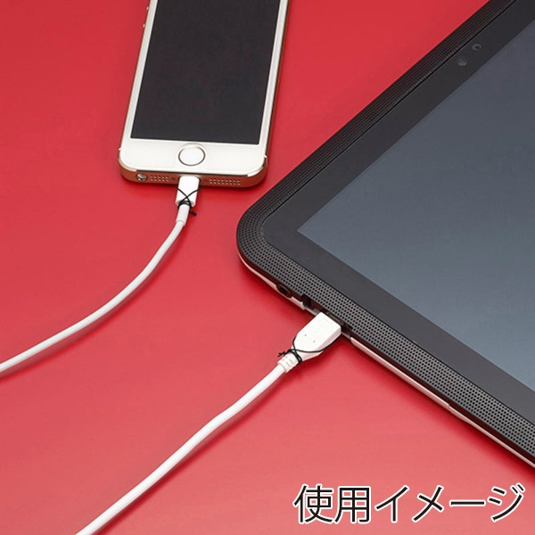 サンワサプライ 汎用チョイロック CA-NB009 1個（ご注文単位1個）【直送品】