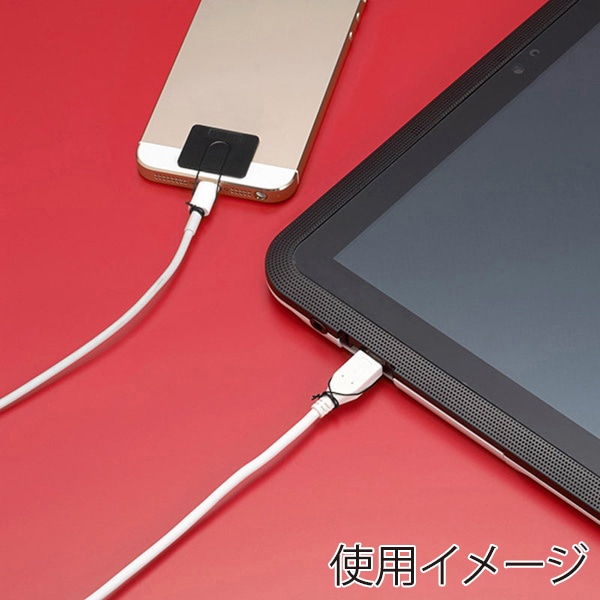 サンワサプライ 汎用チョイロック CA-NB009 1個（ご注文単位1個）【直送品】