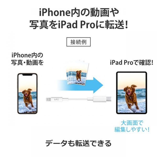 サンワサプライ USB TypeC-ライトニングケーブル 1m ホワイト KB-IPLC10W 1個（ご注文単位1個）【直送品】