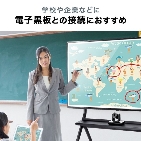 サンワサプライ TypeC Activeケーブル 2レーン 5m ブラック KC-ALCCA1250 1個（ご注文単位1個）【直送品】